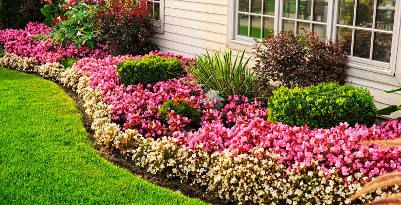 increase-home-value-landscaping